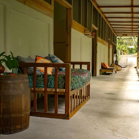 Smile Jungle Hostel Puerto Viejo de Talamanca المظهر الخارجي الصورة