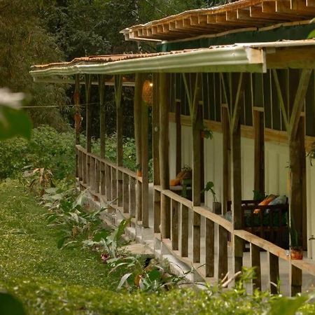 Smile Jungle Hostel Puerto Viejo de Talamanca المظهر الخارجي الصورة