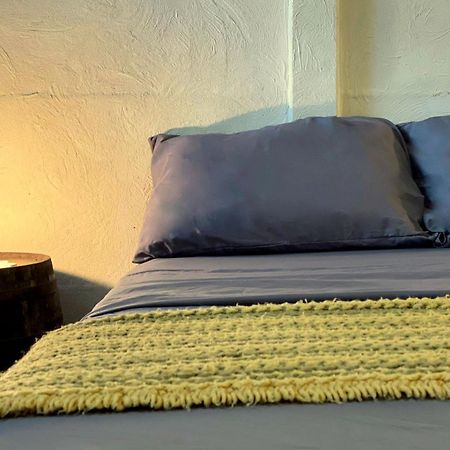Smile Jungle Hostel Puerto Viejo de Talamanca المظهر الخارجي الصورة