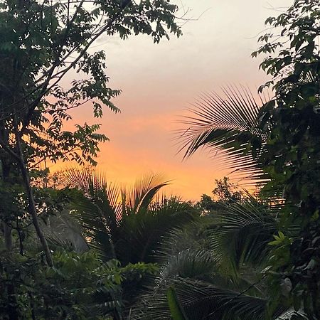 Smile Jungle Hostel Puerto Viejo de Talamanca المظهر الخارجي الصورة