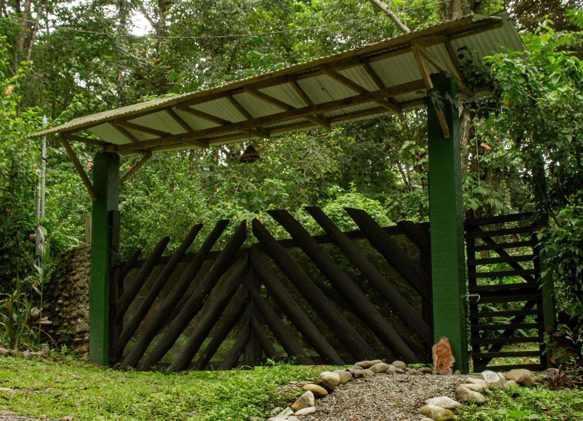 Smile Jungle Hostel Puerto Viejo de Talamanca المظهر الخارجي الصورة