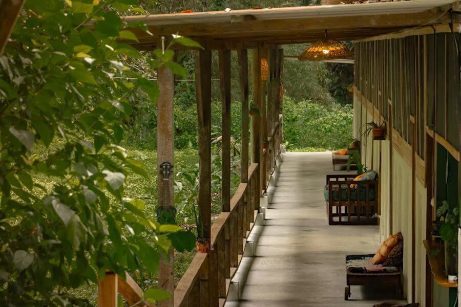 Smile Jungle Hostel Puerto Viejo de Talamanca المظهر الخارجي الصورة