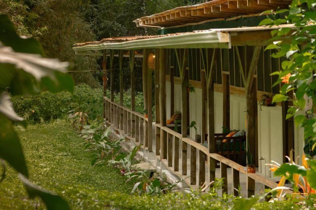 Smile Jungle Hostel Puerto Viejo de Talamanca المظهر الخارجي الصورة