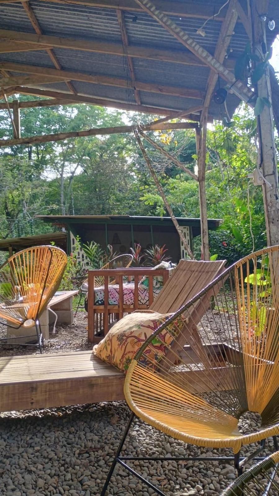 Smile Jungle Hostel Puerto Viejo de Talamanca المظهر الخارجي الصورة