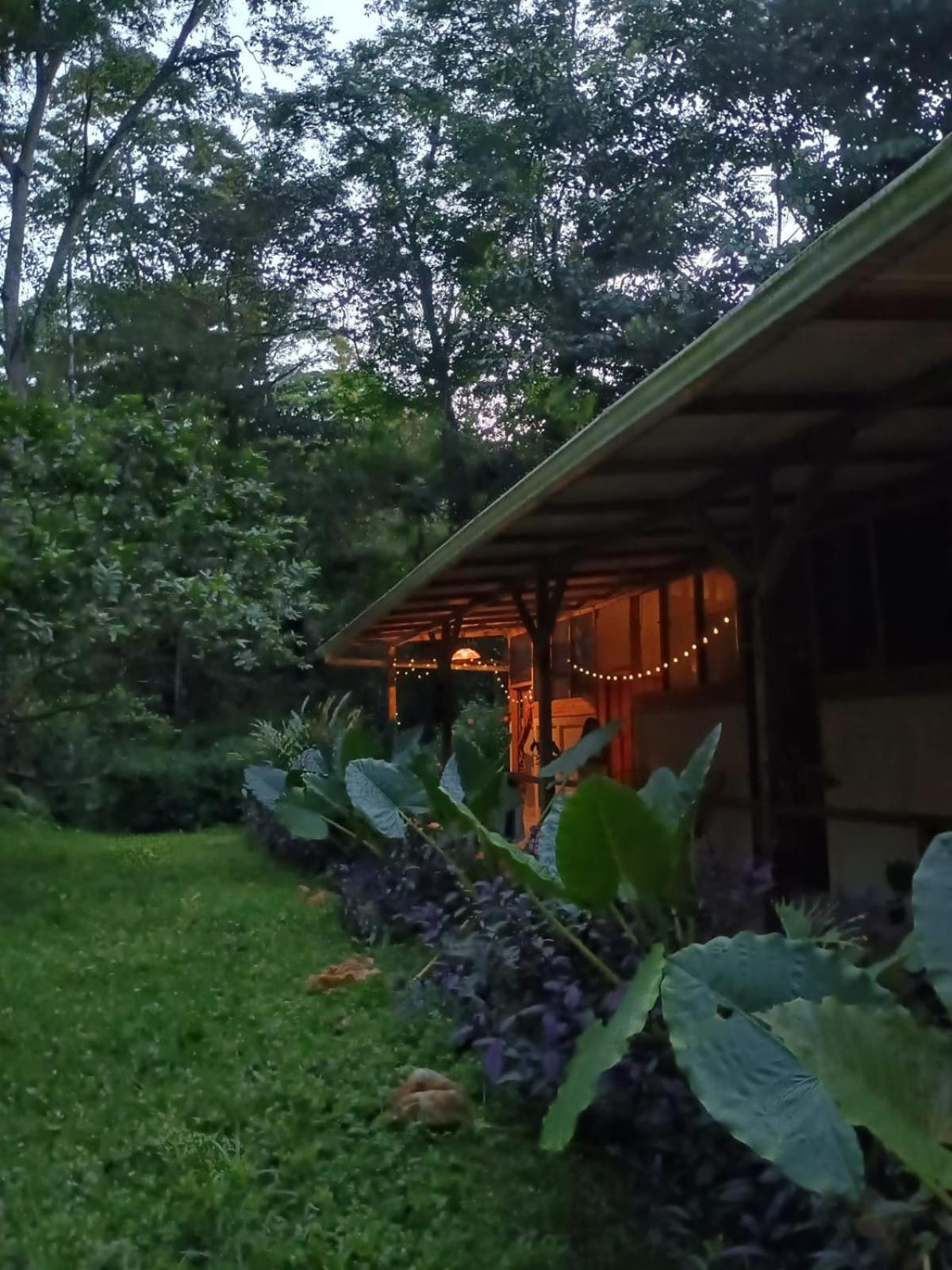Smile Jungle Hostel Puerto Viejo de Talamanca المظهر الخارجي الصورة