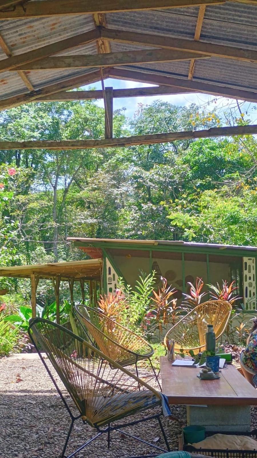 Smile Jungle Hostel Puerto Viejo de Talamanca المظهر الخارجي الصورة