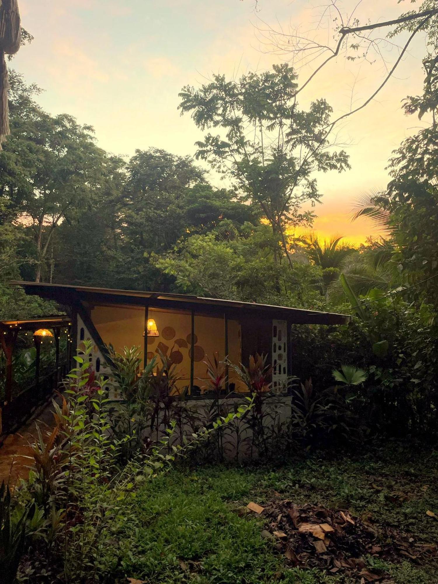 Smile Jungle Hostel Puerto Viejo de Talamanca المظهر الخارجي الصورة