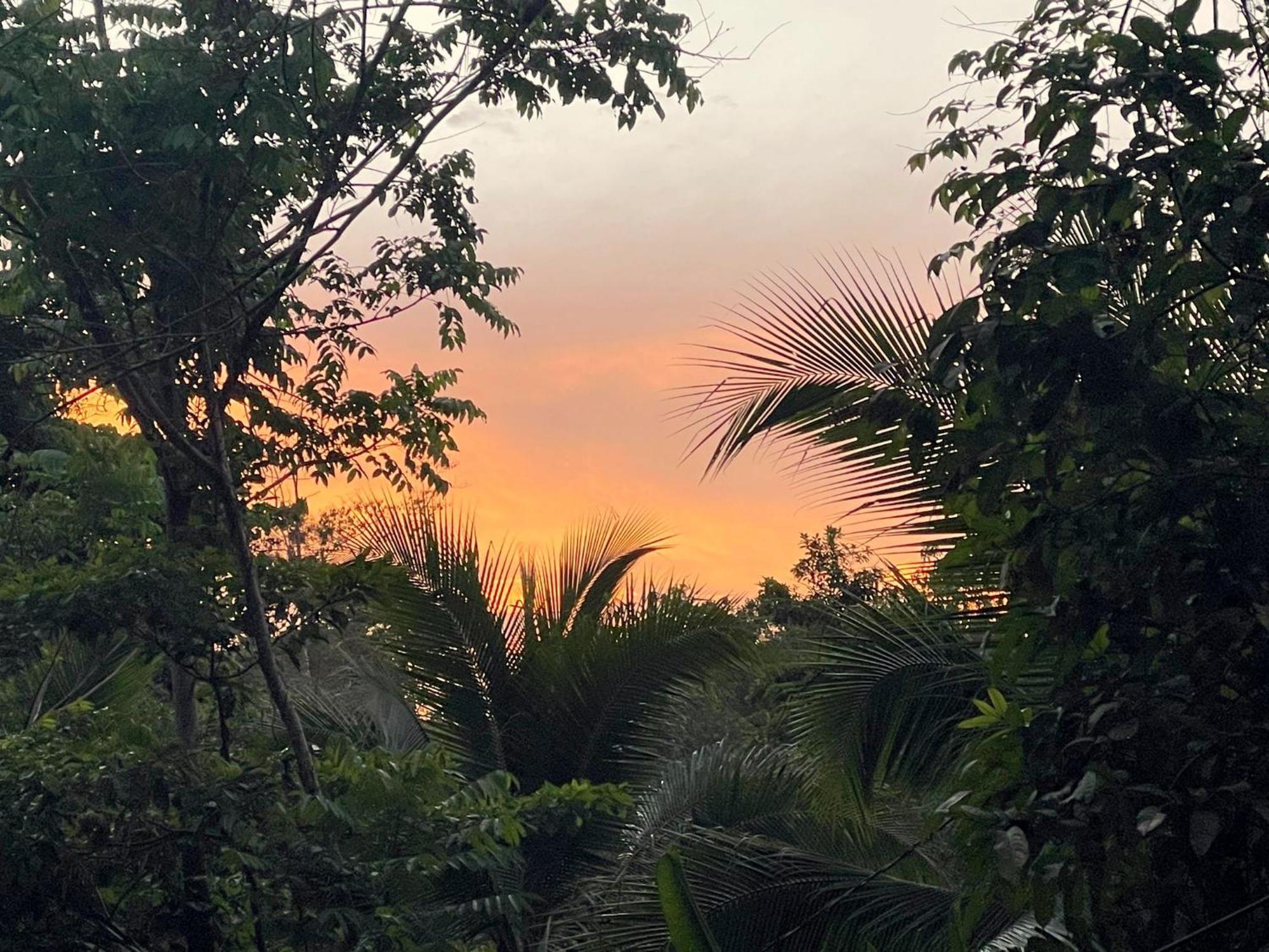 Smile Jungle Hostel Puerto Viejo de Talamanca المظهر الخارجي الصورة